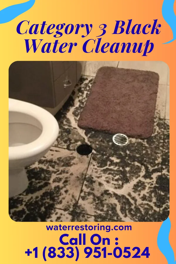 Category 3 Black Water Cleanup in Patterson, GA
